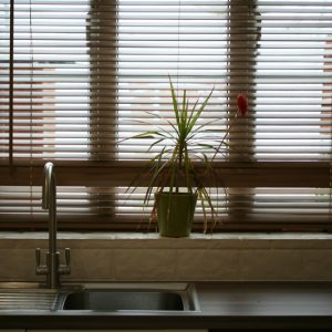 Milbourne-Alabaster-window-view